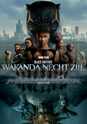 Náhled plakátu k filmu Black Panther: Wakanda nechť žije